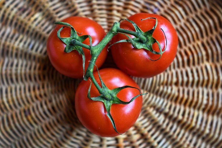 Las 5 Verduras Más Saludables Que Deben Estar En Tu Dieta De10 Sports 8354